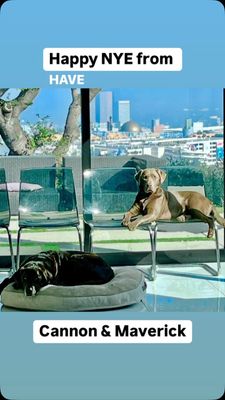 Instagram post by @jeffbluemusic