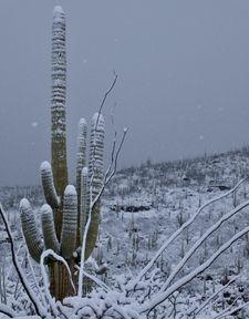 Instagram post by @joshlien27