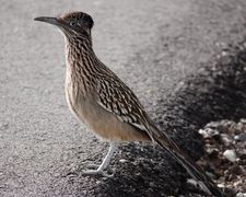 Instagram post by @joshlien27