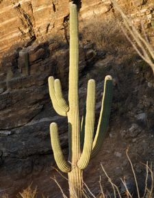 Instagram post by @joshlien27