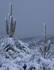 Instagram post by @joshlien27