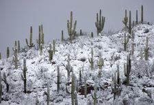 Instagram post by @joshlien27