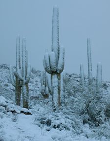 Instagram post by @joshlien27