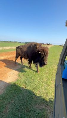 Instagram post by @juanofwords