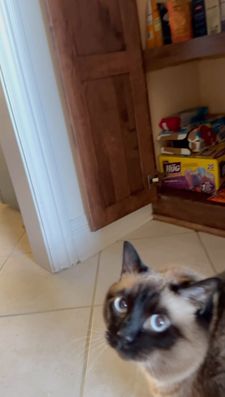 Instagram post by @juanofwords