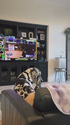 Instagram post by @jud3vill