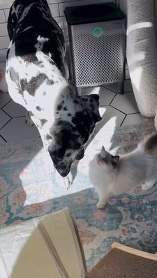 Instagram post by @jud3vill