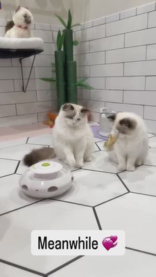 Instagram post by @jud3vill