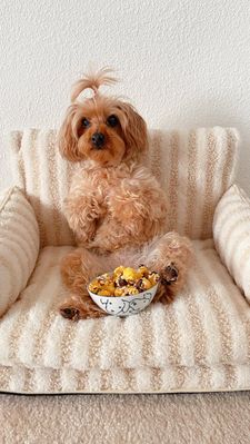 Instagram post by @juicy.and.izzy