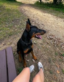 Instagram post by @kate.nova.usa