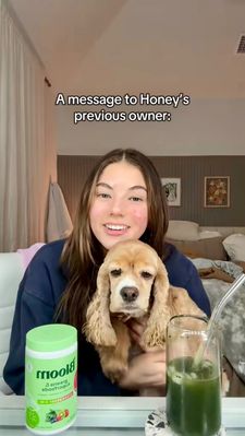 Instagram post by @katemaries_