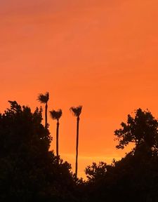 Instagram post by @kcsellsaz