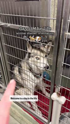 Instagram post by @kelssjourney