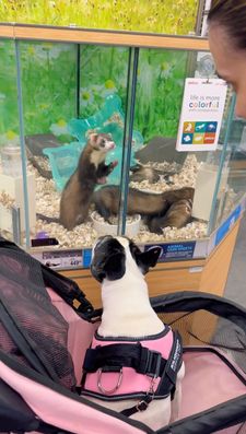 Instagram post by @kiliquinha