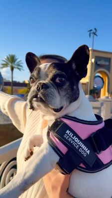 Instagram post by @kiliquinha