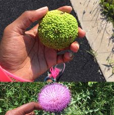 Instagram post by @lamecca_iomni_grace