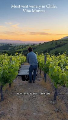 Instagram post by @legallywined