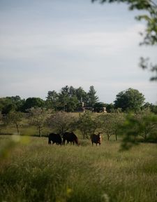 Instagram post by @lilybauer