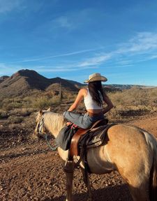 Instagram post by @lilybauer