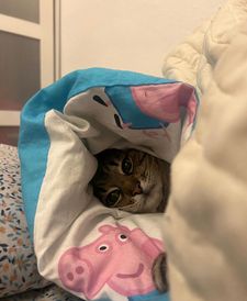 Instagram post by @loveyoustepan