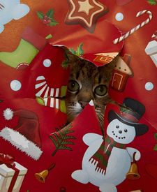 Instagram post by @loveyoustepan