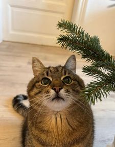 Instagram post by @loveyoustepan