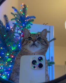 Instagram post by @loveyoustepan