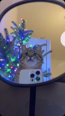 Instagram post by @loveyoustepan