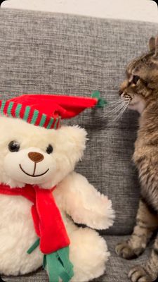 Instagram post by @loveyoustepan