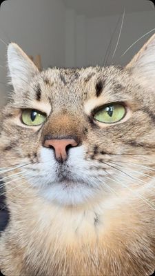 Instagram post by @loveyoustepan