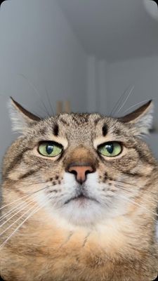 Instagram post by @loveyoustepan