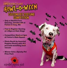 Instagram post by @lruettimann