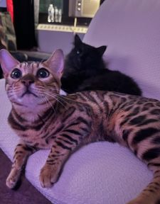 Instagram post by @lucien.zzz