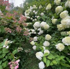 Instagram post by @lucien.zzz