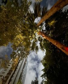 Instagram post by @lucien.zzz