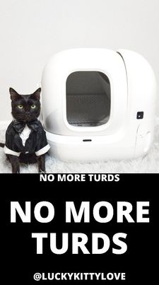 Instagram post by @luckykittylove