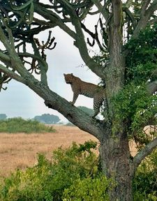 Instagram post by @maddietaylorx