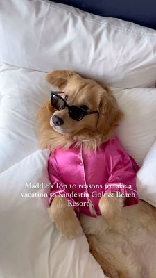 Instagram post by @madelinethegoldengirl