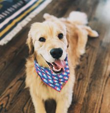 Instagram post by @madelinethegoldengirl