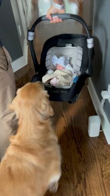 Instagram post by @madelinethegoldengirl
