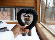 Instagram post by @maisieschnauz