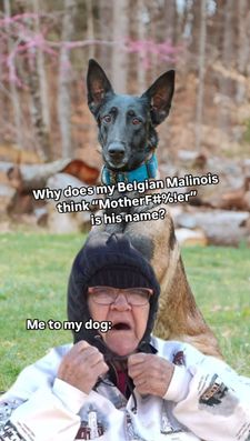 Instagram post by @maligatormom_