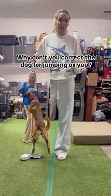 Instagram post by @maligatormom_