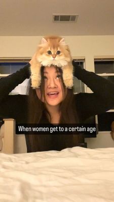 Instagram post by @maple.cat