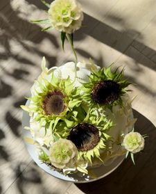 Instagram post by @maria___amaria