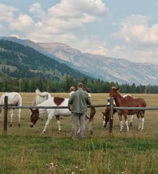 Instagram post by @mattjdooley