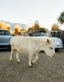 Instagram post by @mattmorrisfilms