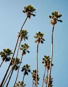 Instagram post by @mattmorrisfilms