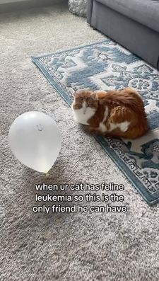 Instagram post by @mattthebat