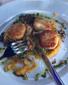 Instagram post by @mazenzmassad